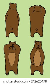 four different bears on the green background
