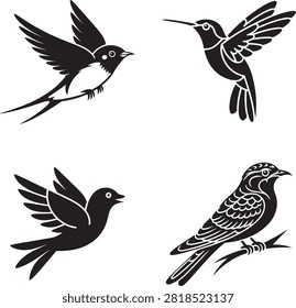 Four different birds illustrated in black and white isolated on transparent background