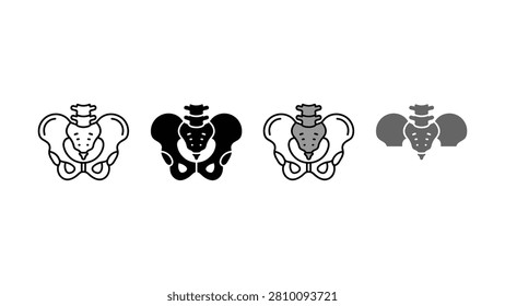 Four different colored pelvis
