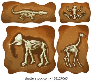 Four different fossils underground illustration