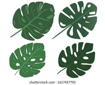 four different green leaves vector. strong color leaf. a white background.