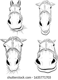 Four different heads of horse. Sketch art.