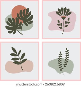 Four different illustrations of plants and leaves in a square frame