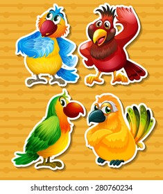 Four different kind of birds on yellow background