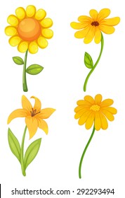 Four different kinds of yellow flowers