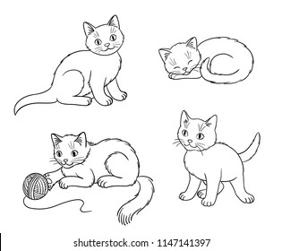 kitten outline