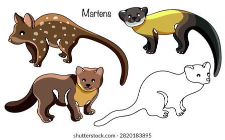 Four different martens are hand-drawn. It is a small predatory animal with an elongated body, short legs, and a long, bushy tail. It has thick brown fur, a pointed muzzle, and expressive eyes.