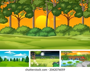 Cuatro escenas diferentes del parque natural y la ilustración forestal