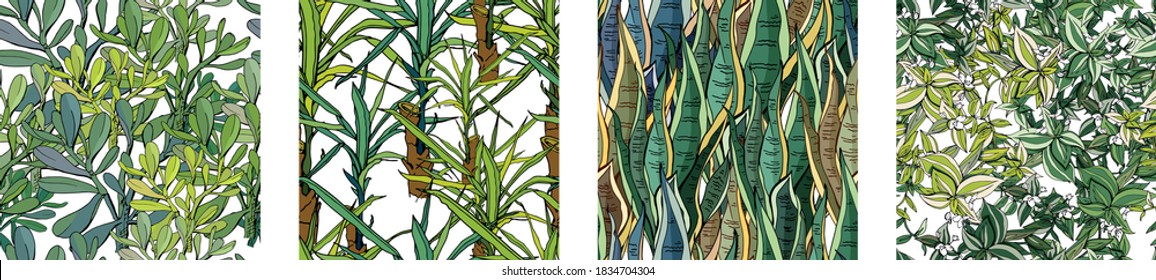 Four different seamless patterns with homeplant leaves 