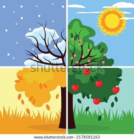 four different seasons in one picture