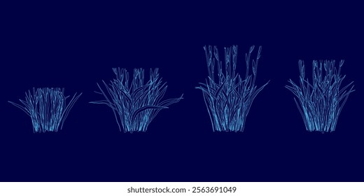 Four different stages of a plant growing. The first stage is a small seedling, the second stage is a small plant with a few leaves, the third stage is a larger plant with more leaves