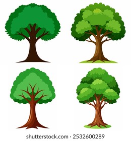 Four different trees are shown in a row, each with a different shape and size. The trees are all green and have leaves, but they vary in their appearance. The first tree is tall and skinny