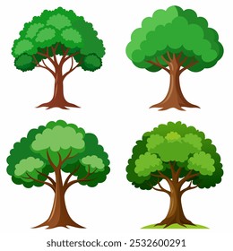 Four different trees are shown in various stages of growth. The first tree is a small sapling, while the other three are larger trees with more mature leaves. Concept of growth and development