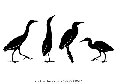 Four Different Types Of Birds Silhouettes Standing On Ground