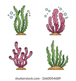 Four different types of cartoon seaweed and coral with bubbles on a white background. Vector illustration.
