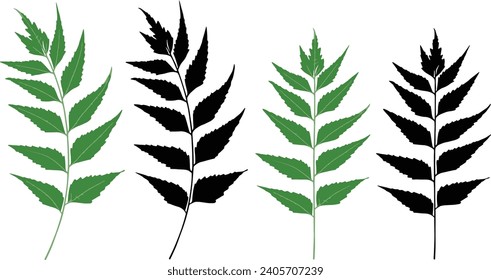 four different types of green black and white neem  leaves a vector design 