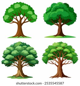 Four different types of trees are shown in a row. The trees are all green and have leaves