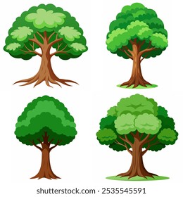 Cuatro tipos diferentes de árboles se muestran en la Imagen. Los árboles son todos verdes y tienen troncos marrones. Los árboles están dispuestos en una fila, con el primer árbol a la izquierda y el último árbol a la derecha