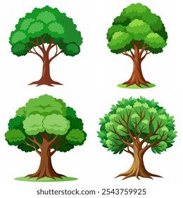 Quatro tipos diferentes de árvores são mostrados em uma linha, com a primeira árvore sendo a mais alta e a última árvore sendo a mais curta. As árvores são todas verdes e têm folhas