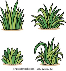 Four distinct cartoon illustrations of green grass clumps, each adorned with small dew drops, set against a white background.