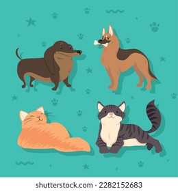 four dogs and cats animals