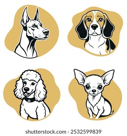 Quatro cães de raças diferentes são mostrados em uma fileira. O primeiro é um poodle, o segundo é um dachsund, o terceiro é um beagle, e o quarto é um chihuahua