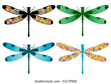 four dragonflies isolated on a white background