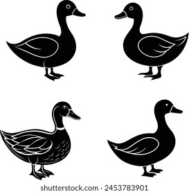 Four duck logo icon vector illustration svg