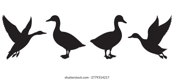 Four Duck Silhouettes in Flight and Standing