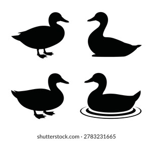 Four duck silhouettes in various poses black on white silhouette