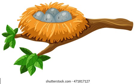 Four eggs in bird nest illustration