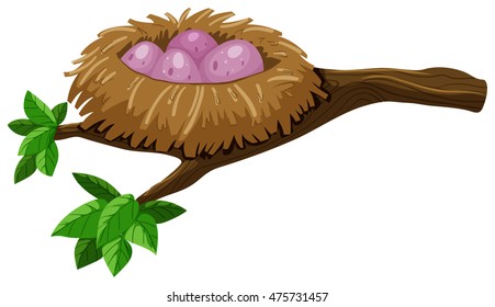 Four eggs in bird nest illustration