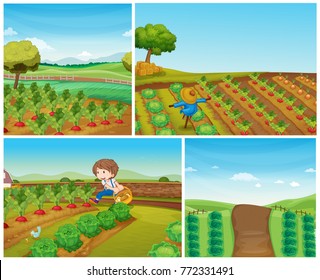 Four farm scenes with vegetables and scarecrow illustration