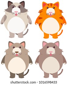 Four fat cats in different color illustration