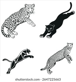 Quatro Figuras Felinas Um Estudo em Preto e Branco Retratando Salto Gracioso e Agachamento Prowling