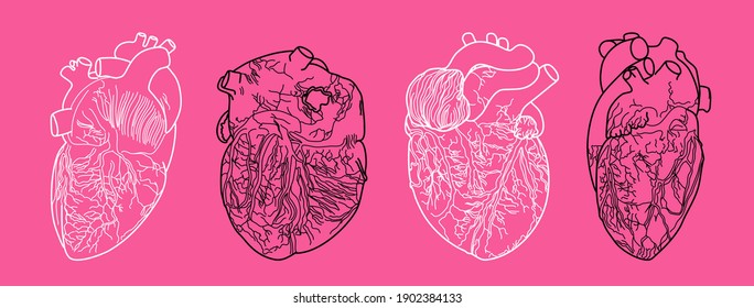 Four fine art line of physical heart in different sides in white and black drawing vector