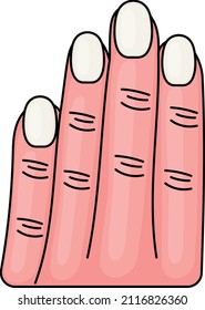 Four Finger with nails Concept, Left Hand Vector color Icon Design, Organ System Symbol, Human Anatomy Sign, Human Body Parts Stock illustration