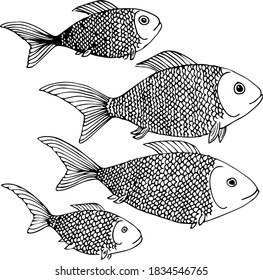 Four fish swim in one direction. Drawing of fish.