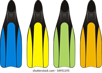 four flippers isolated on withe background