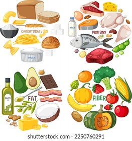 The four food groups illustration