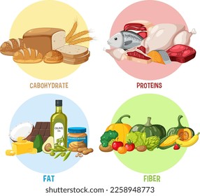 The four food groups illustration