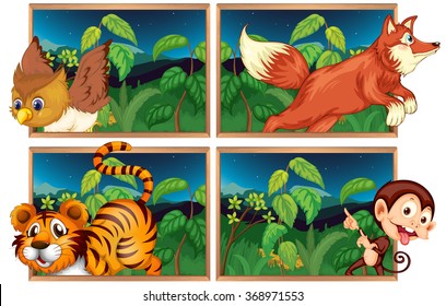 Four forest scenes with wild animals illustration