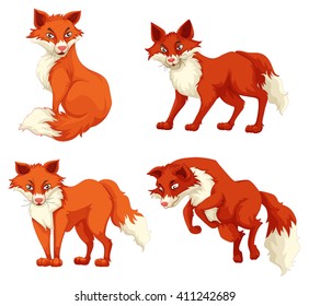 Four foxes in different poses illustration