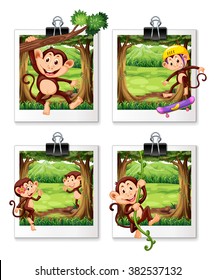 Four frames of monkey in the jungle illustration