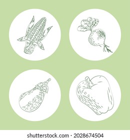 four fresh products sketch icons
