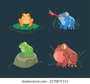 four frogs amphibians animals group