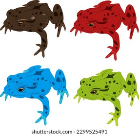 Four frogs in colors, blue, brown, red and green, vector image, amphibians, animals