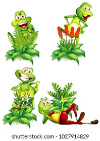 Four frogs and different types of plants illustration