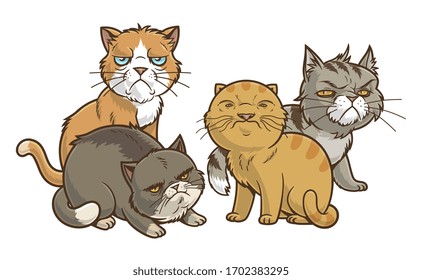 Four funny cartoon cats on the white backgrounds. Hard cats illustration.