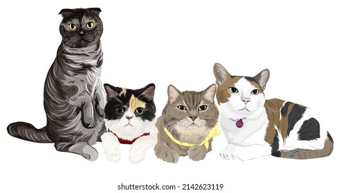 Four funny kittens cut cats vector art